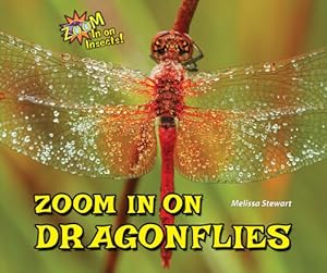 Zoom In on Dragonflies (Zoom In on Insects!)
