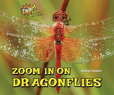 Zoom In on Dragonflies (Zoom In on Insects!)