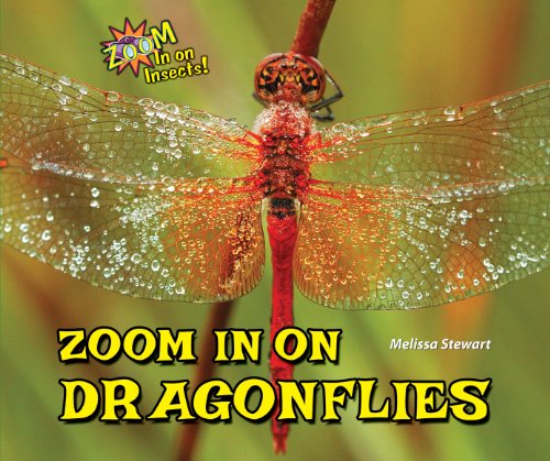 Zoom In on Dragonflies (Zoom In on Insects!) by Melissa Stewart