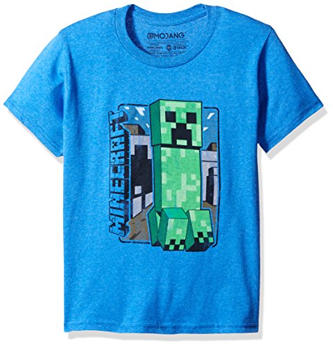 Algopix Similar Product 14 - JINX Minecraft Vintage Creeper Boys