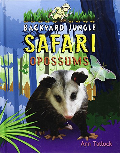 Opossums by Ann Tatlock