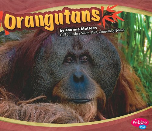 Orangutans by Joanne Mattern