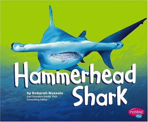 Hammerhead Shark by Deborah Nuzzolo