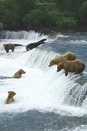 Algopix Similar Product 19 - 