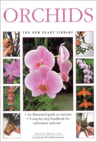 Orchids (Little Plant Library) by Andrew Mikolajski