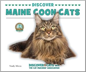 Discover Maine Coon Cats