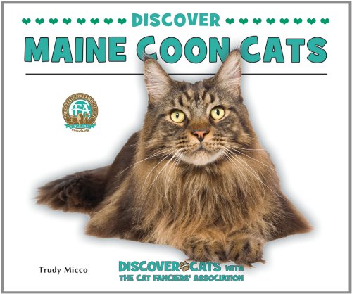 Discover Maine Coon Cats by Trudy Micco