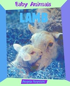 Lamb