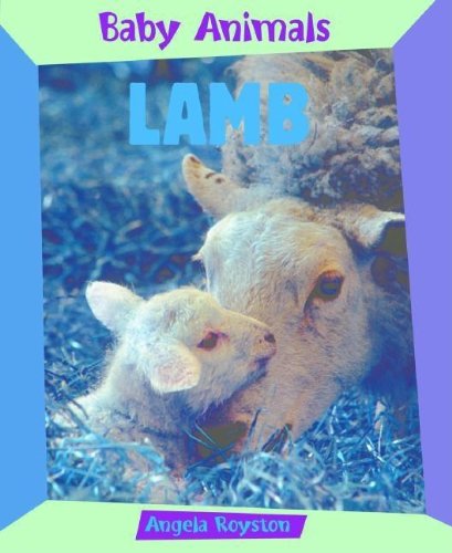 Lamb by Angela Royston