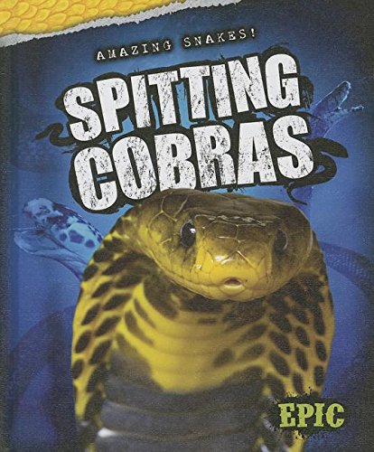 Spitting cobras by Emily Rose Oachs
