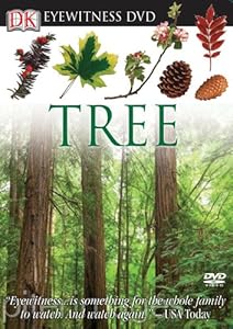 Eyewitness DVD: Tree (Eyewitness Videos)