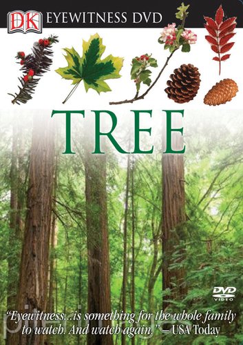 Eyewitness DVD: Tree (Eyewitness Videos) by DK Publishing