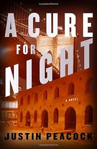 A Cure for Night: A Novel