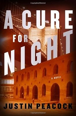 A Cure for Night: A Novel