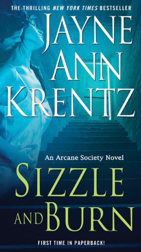 Sizzle and Burn by Jayne Ann Krentz
