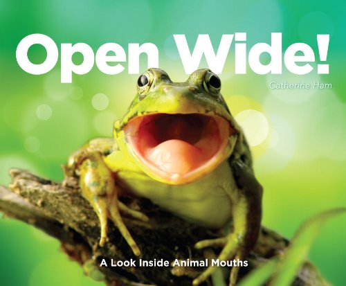 Open Wide!: A Look Inside Animal Mouths by Catherine Ham
