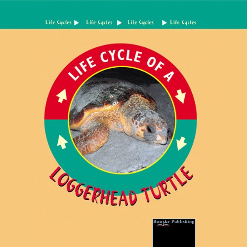 Loggerhead Turtle: Life Cycles Series by Jason Cooper