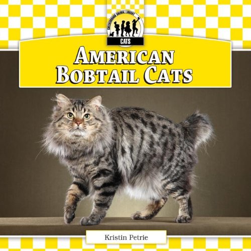 American Bobtail Cats by Kristin Petrie