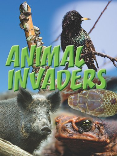 Animal Invaders by Amanda Doering Tourville