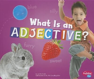 What Is an Adjective?