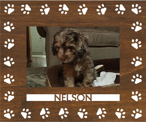 Algopix Similar Product 11 - 