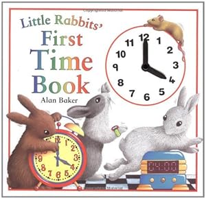 Little Rabbits' First Time Book (Little Rabbit Books)