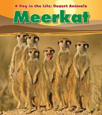 Meerkat