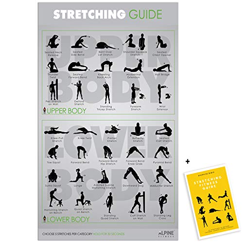 Algopix Similar Product 11 - Alpine Choice Laminated Stretching