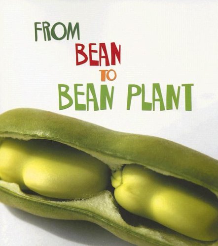 From Bean to Bean Plant (How Living Things Grow) by Anita Ganeri