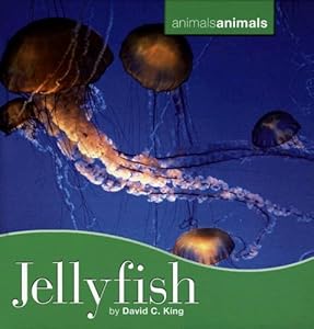 Jellyfish (Animals Animals)