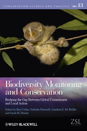 Biodiversity Monitoring and Conservation: Bridging the Gap Between Global Commitment and Local Action (Conservation Science and Practice) by Ben Collen
