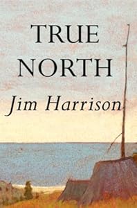True North