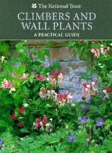 Climbers and Wall Plants: A Practical Guide (Gardening Series) by Sue Spielberg