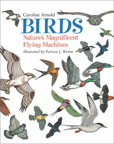 Birds: Nature's Magnificent Flying Machines by Caroline Arnold