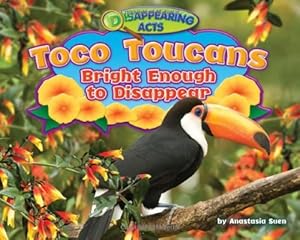 Toco Toucans: Bright Enough to Disappear
