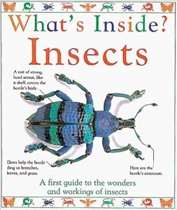 What's Inside?: Insects