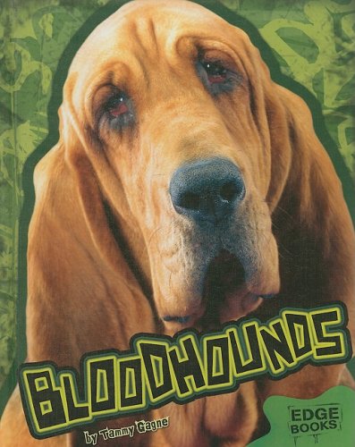 Bloodhounds (Edge Books: All about Dogs) by Tammy Gagne