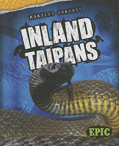 Inland taipans by Chris Bowman