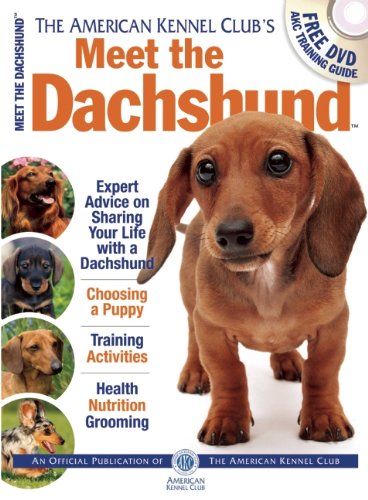 Meet the Dachshund by American Kennel Club