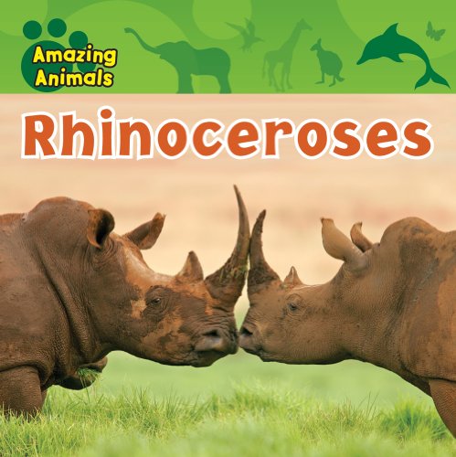 Rhinoceroses by Justine Ciovacco