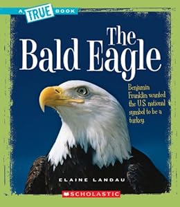 The Eagles Are Back