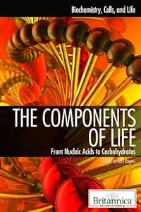 The Components of Life: From Nucleic Acids to Carbohydrates