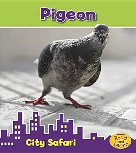 Pigeon: City Safari