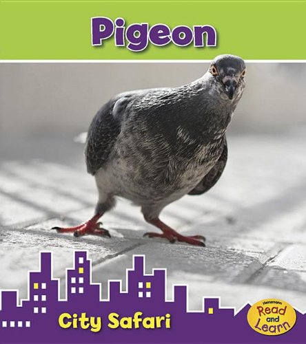 Pigeon: City Safari by Isabel Thomas