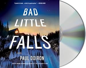 Bad Little Falls: A Novel