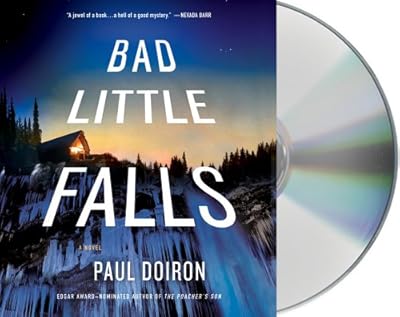 Bad Little Falls: A Novel