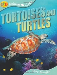 Tortoises and Turtles (QED Animal Lives)