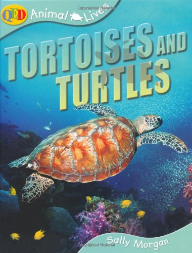Tortoises and Turtles (QED Animal Lives) by Sally Morgan