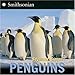 Penguins (Smithsonian)