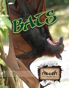 Bats